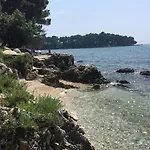 Holiday House Harmony
