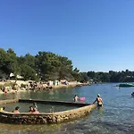Holiday House Harmony